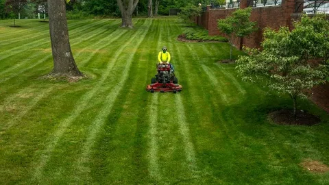 Simply Lawn Care Services The Guide to a Beautiful Yard